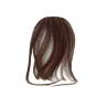 Premium Mini Fringe Extension | Indian Remy Human Hair