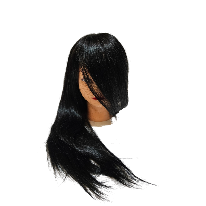 50% Human hair-synthetic blend practice mannequin head -color: Black 50% Human hair-synthetic blend practice mannequin head -color: Black