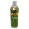 Burts bees Uplifting Rosemary & Lemon Body Wash 354ml