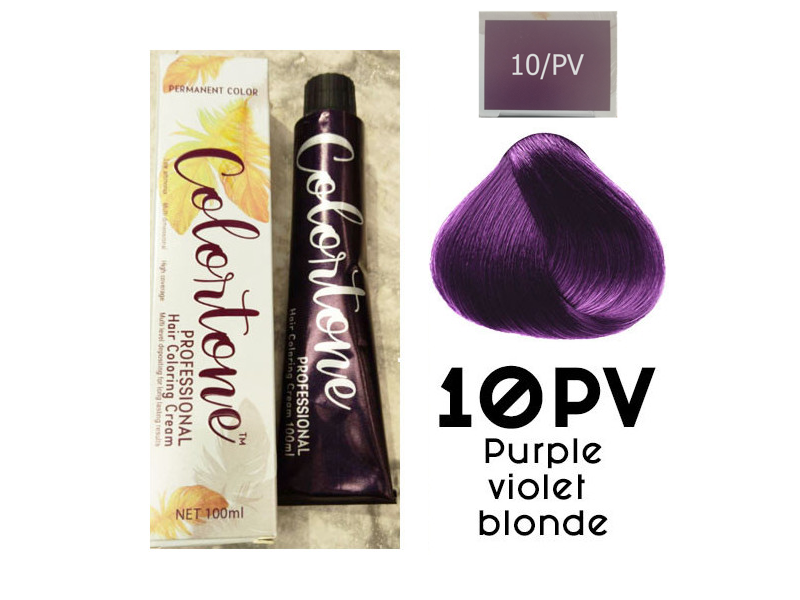 10PP Light Violet slate (toner tint) Colortone professional 100ml +100ml 20 vol developer