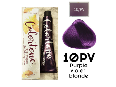 10PP Light Violet slate (toner tint) Colortone professional 100ml +100ml 20 vol developer