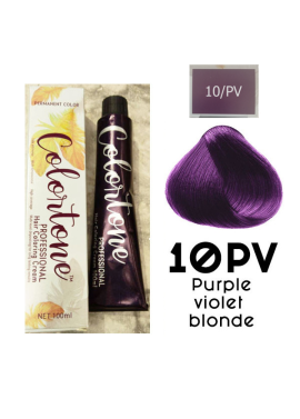 10PP Light Violet slate (toner tint) Colortone professional 100ml +100ml 20 vol developer