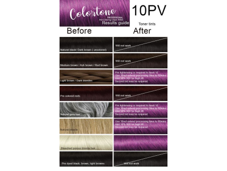 10PP Light Violet slate (toner tint) Colortone professional 100ml +100ml 20 vol developer