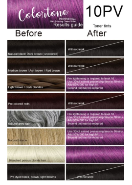 10PP Light Violet slate (toner tint) Colortone professional 100ml +100ml 20 vol developer