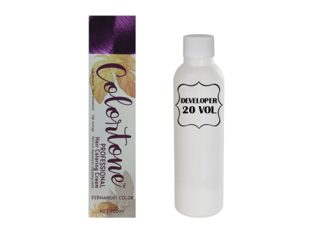 10PP Light Violet slate (toner tint) Colortone professional 100ml +100ml 20 vol developer